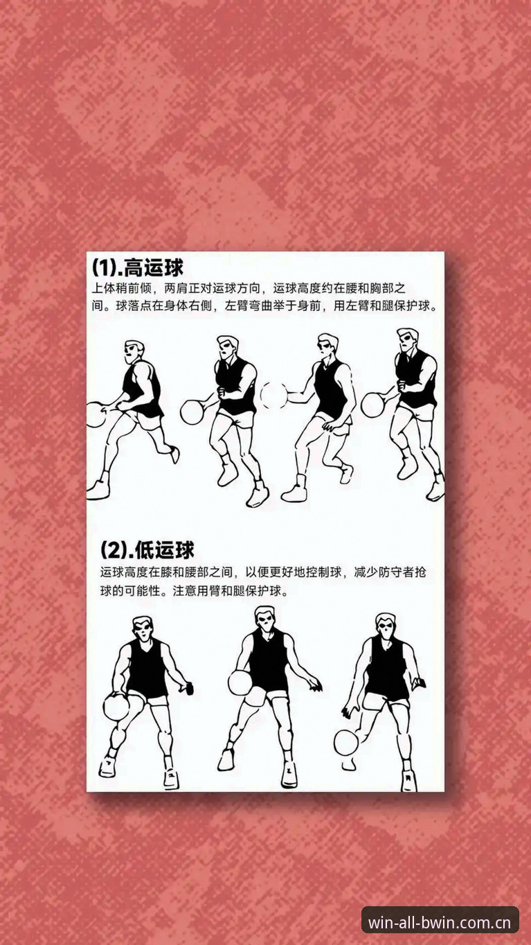BWIN必赢体育极简入门指南